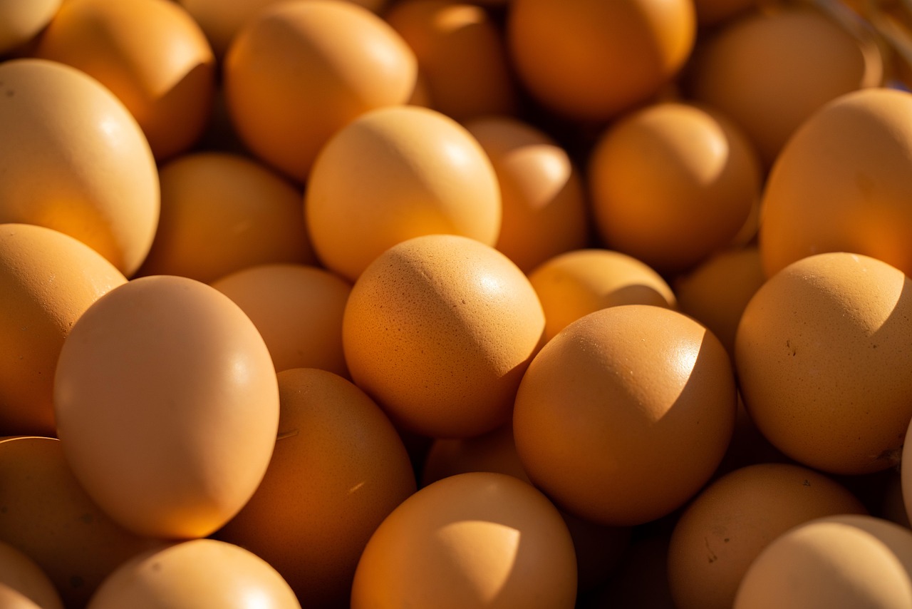 Fresh Kosher Chicken: What to Look For When Buying