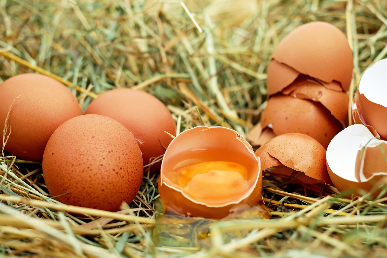 Understanding the Egg Donation Process: A Guide for Intended Parents
